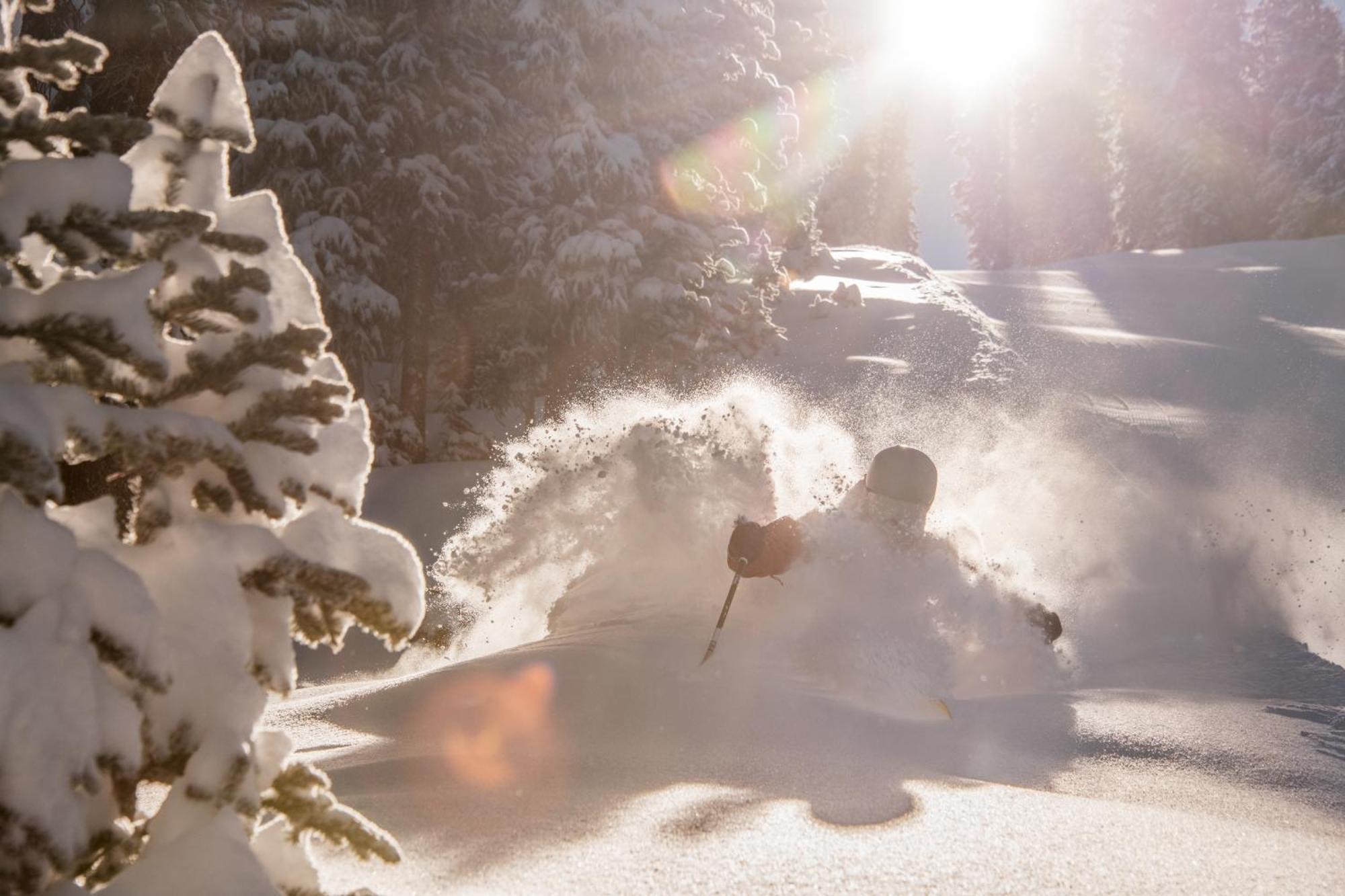 2 Bedroom 2Ba Spacious Condo With A Fireplace Condo Crested Butte Luaran gambar